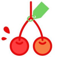 CERISE PEYI logo - Similar company to Braidio