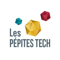 Les Pépites Tech logo - Similar company to The French Tech Journal