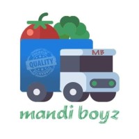 MandiBoyz logo - Similar company to Ib Stores Llc