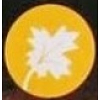 Jainco Publishers logo - Similar company to Hatchegg Publication