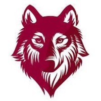 IntellCore logo - Similar company to Jupiter Wisdom