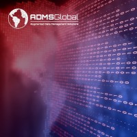 Augmented Data Management Solutions logo - Similar company to Edriven Management Consulting