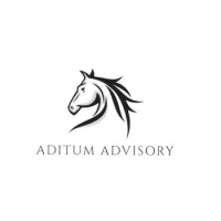 AditumAdvisory logo - Similar company to La Boutique Executive