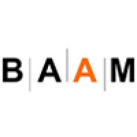 Bay Area Arts Marketing, Inc.