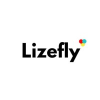 Lizefly logo - Similar company to Codingidol