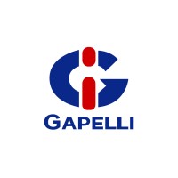 Gapelli Ingredients Mex SA De CV logo - Similar company to San Val Internacional