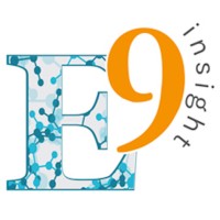 E9 Insight logo - Similar company to Ncompas Technology Solutions Inc.