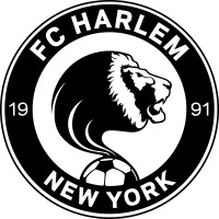 FC HARLEM logo - Similar company to Budapest Bunnies