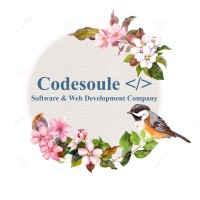Codesoule logo - Similar company to Teamup4Solutions