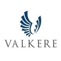 Valkere Investment Group logo - Similar company to Signal&Noise