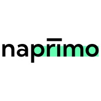 napřímo logo - Similar company to Insighters