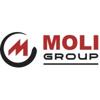 MOLI GROUP CORPORATION logo - Similar company to Moli Group
