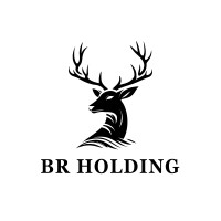 BR Capital Holding logo - Similar company to Br Capital Group