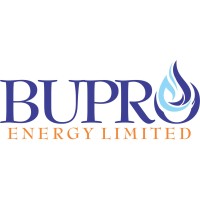 BUPRO Energy logo - Similar company to Tek Global Solutions.Com