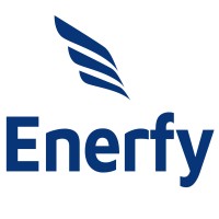 Enerfy Inc. logo - Similar company to Exec Partners & Services Llc