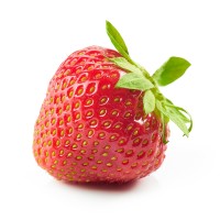 fresa3D logo - Similar company to Netica D.O.O.