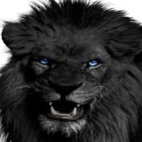 Centenoseo.com logo - Similar company to Mc Control