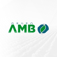 AMB Group logo - Similar company to Bracol