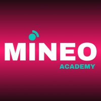 Mineo Academy logo - Similar company to Jdformation