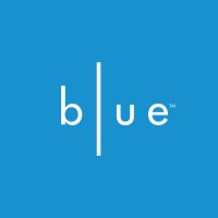SeoulAuctionBlue logo - Similar company to Sejong Inc.