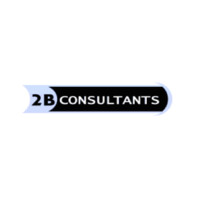 2B Consultants logo - Similar company to Bg Partners