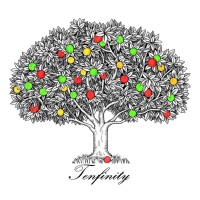 Tenfinity Wealth logo - Similar company to Vkd Wealth