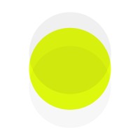 Lemonaid logo - Similar company to Singula
