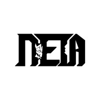 Netasoft logo - Similar company to Birfil