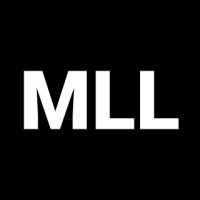 ML LABS logo - Similar company to Ai Engine