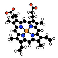 Biochemistry Literacy for Kids logo - Similar company to Biochemistry Guide
