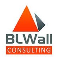 BLWall Consulting logo - Similar company to Styied Wigs