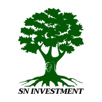 SN INVESTMENT logo - Similar company to Partenariat France Chine Electricité (Pfce)