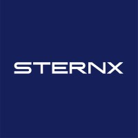 SternX logo - Similar company to Rtmg
