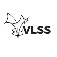 VLSS logo - Similar company to Licensefortress