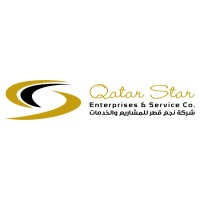 QSES logo - Similar company to Papions - Apics / Ascm - Authorized Partner