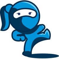 Blue Ninja logo - Similar company to Blu Ninjas