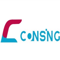 Shandong Consing Material Technology Co., Ltd. logo - Similar company to Sheel Locks