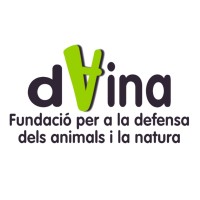 Fundació Daina logo - Similar company to Associació Sèlvans