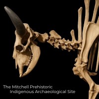 The Mitchell Prehistoric Indigenous Archaeological Site logo - Similar company to Piqosity