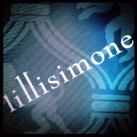 lillisimone logo - Similar company to Pr Partner S.A.S.