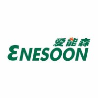 Enesoon logo - Similar company to Endex
