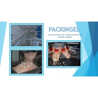 PACKINGEL logo - Similar company to Call Up Solutions