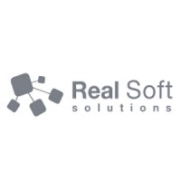 Real Soft Solutions SRL logo - Similar company to Metaware Data Solutions