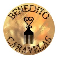 Movimento Negro Benedito Caravelas logo - Similar company to Institute For Training And Development