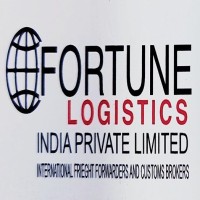 Fortune Logistics India Pvt. Ltd. (A subsidiary of DN5 Group) logo - Similar company to Fortune Freight Group