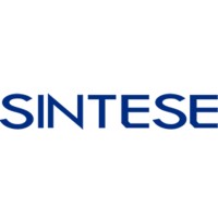 Sintese Serviços logo - Similar company to Pro-Consult