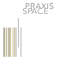 Praxis Space Ptd Ltd logo - Similar company to Life To The Full