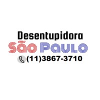 Desentupidora em São Paulo logo - Similar company to Sanemix