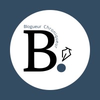 Bernie rédacteur web logo - Similar company to Rédacteur-Solution