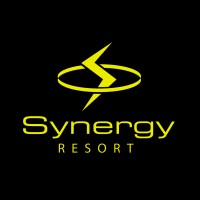 Synergy Resort logo - Similar company to 300 Consulting Srl